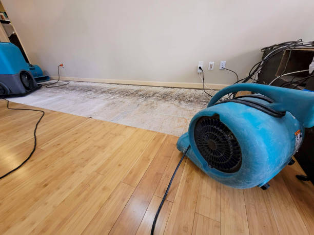 Professional Sewage Cleanup technician working in Terra Bella, CA